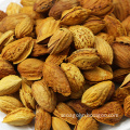 Bulk Raw Whole California Almonds Price Kernel